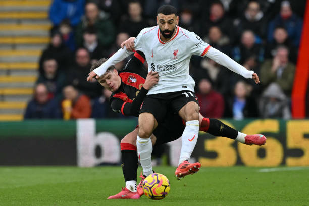 社交媒体的 社交媒体的